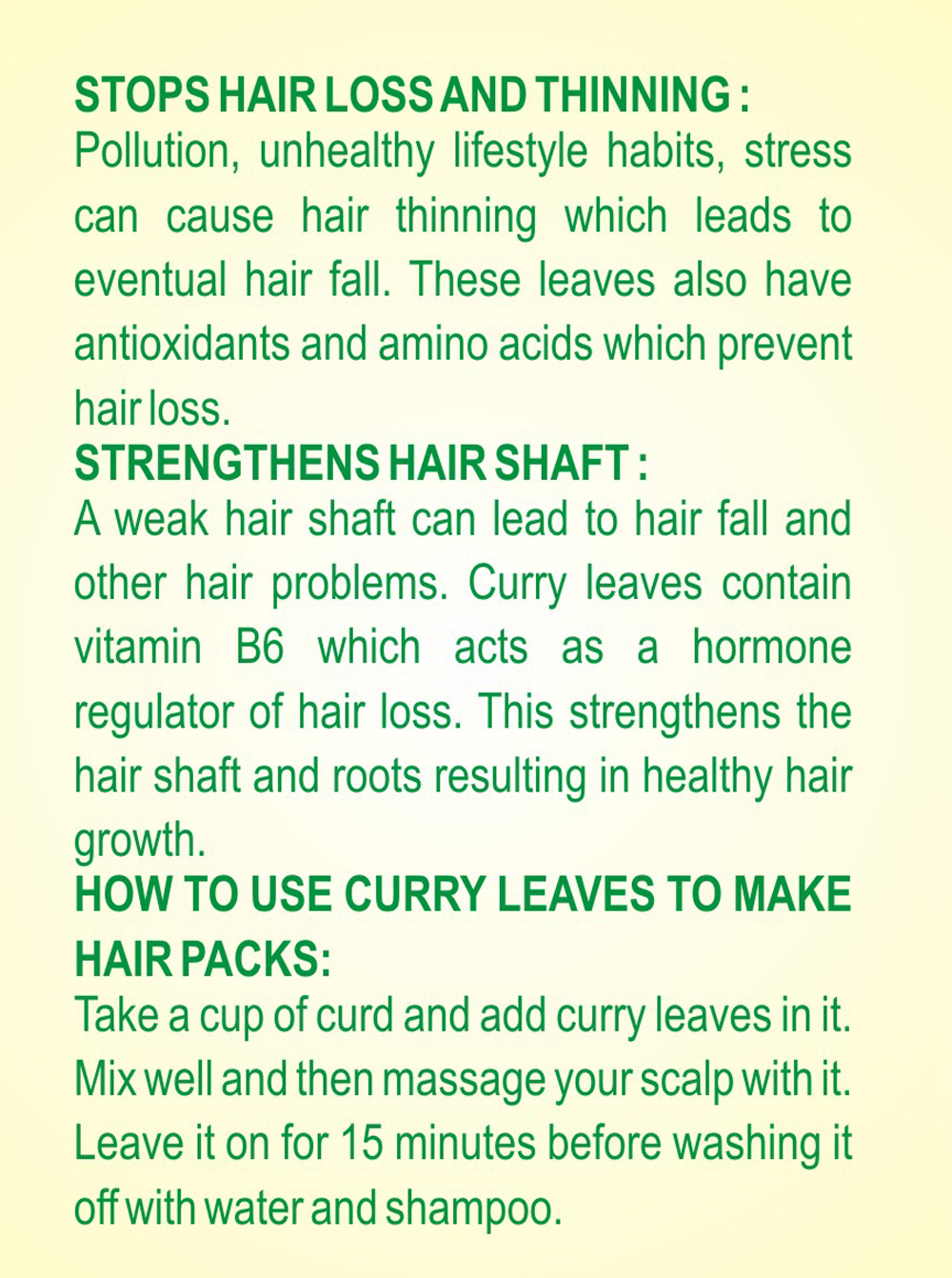 Curry leaves - Image 2